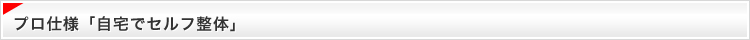 プロ仕様「自宅でセルフ整体」