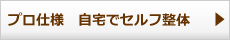 プロ仕様　自宅でセルフ整体